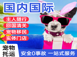 佛山机场快递国际宠物托运 【国